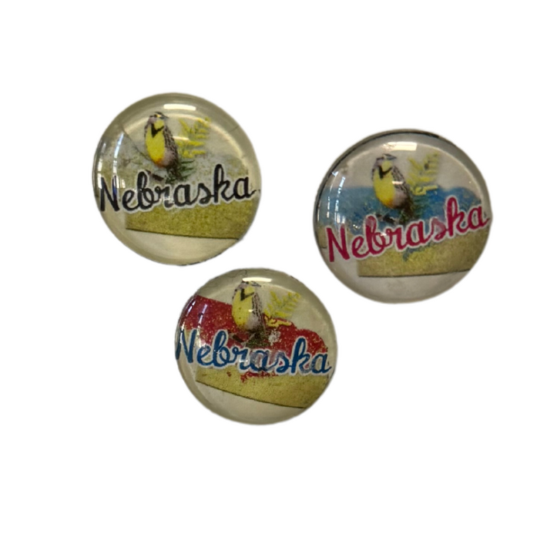 3 Nebraska Meadowlark Magnets Multiple Colors