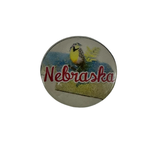 Meadowlark Magnets Blue Color