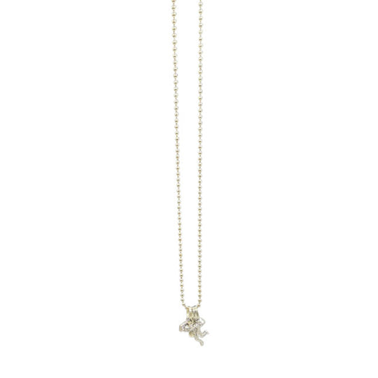 Nebraska State Volleyball Charm Necklace | Silver Chain | 24" Chain & 1" Charm | Charms May Vary | Create