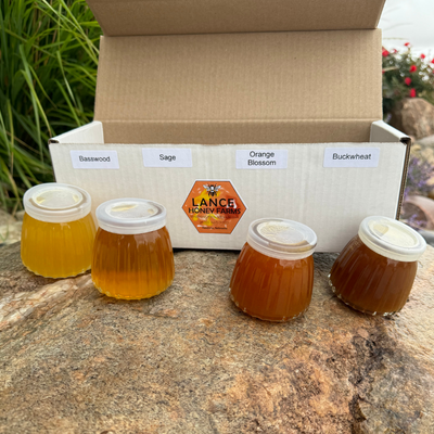 Mini Honey Gift Set | Basswood, Buckwheat, Orange Blossom, and Sage Honey Gift Set | Naturally Pure, Raw, Unfiltered Honey Sampler | Try Them All | Set of 4 | 4 oz jars
