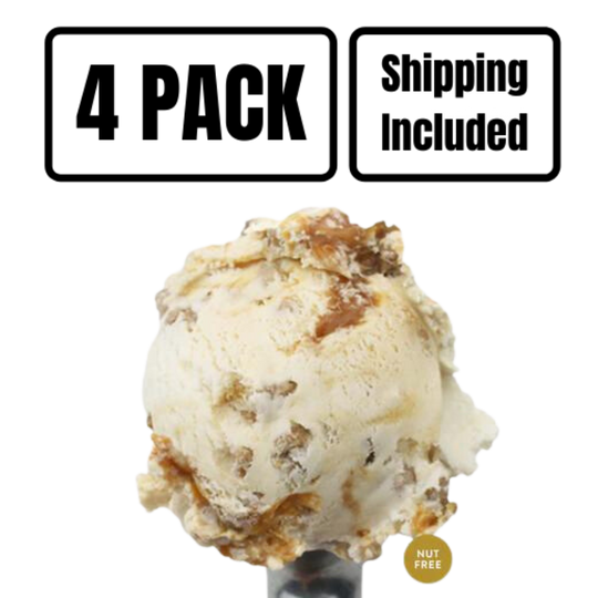 Caramel Apple Crisp Ice Cream | One Pint | Nut-Free | Spiced Apple Blend With Caramel Swirls | Topped With Crunchy Graham Cracker Crunch | Featured on Good Morning America, Shark Tank, And More! | Nebraska Ice Cream | Pack of 4 | Shipping Included