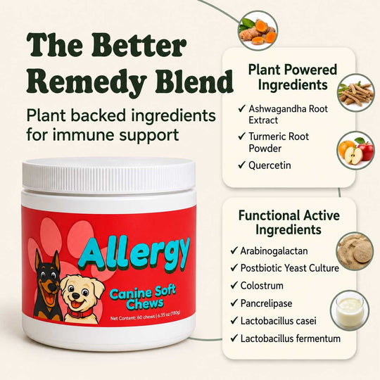 A jar of dog allergy soft chews labeled 'Allergy Canine Soft Chews' on a light beige background with informational text and ingredient callouts. The product container is white with a bright red label featuring dog illustrations.