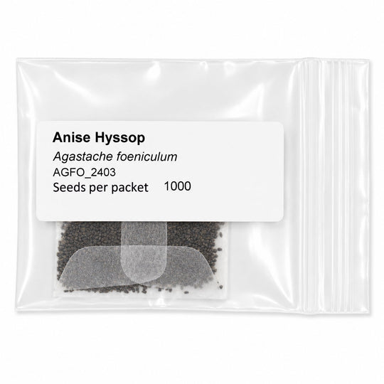 Clear packet of Anise Hyssop seeds with text on a white background