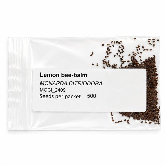 Seeds packet of Lemon bee-balm with visible seeds on a white background