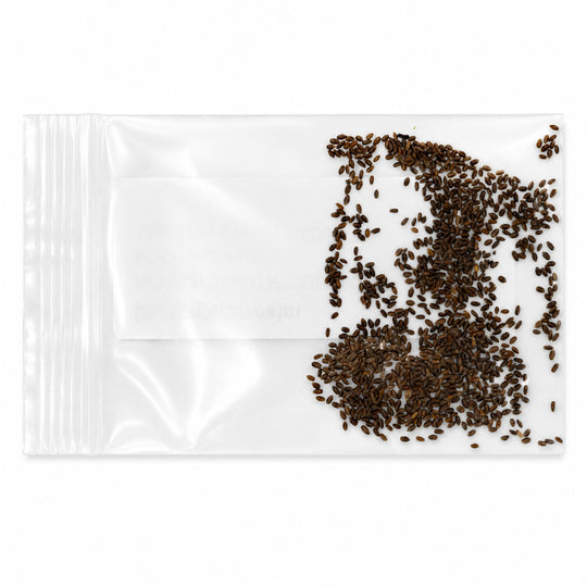 Clear plastic bag with a small amount of dark seeds on a white background