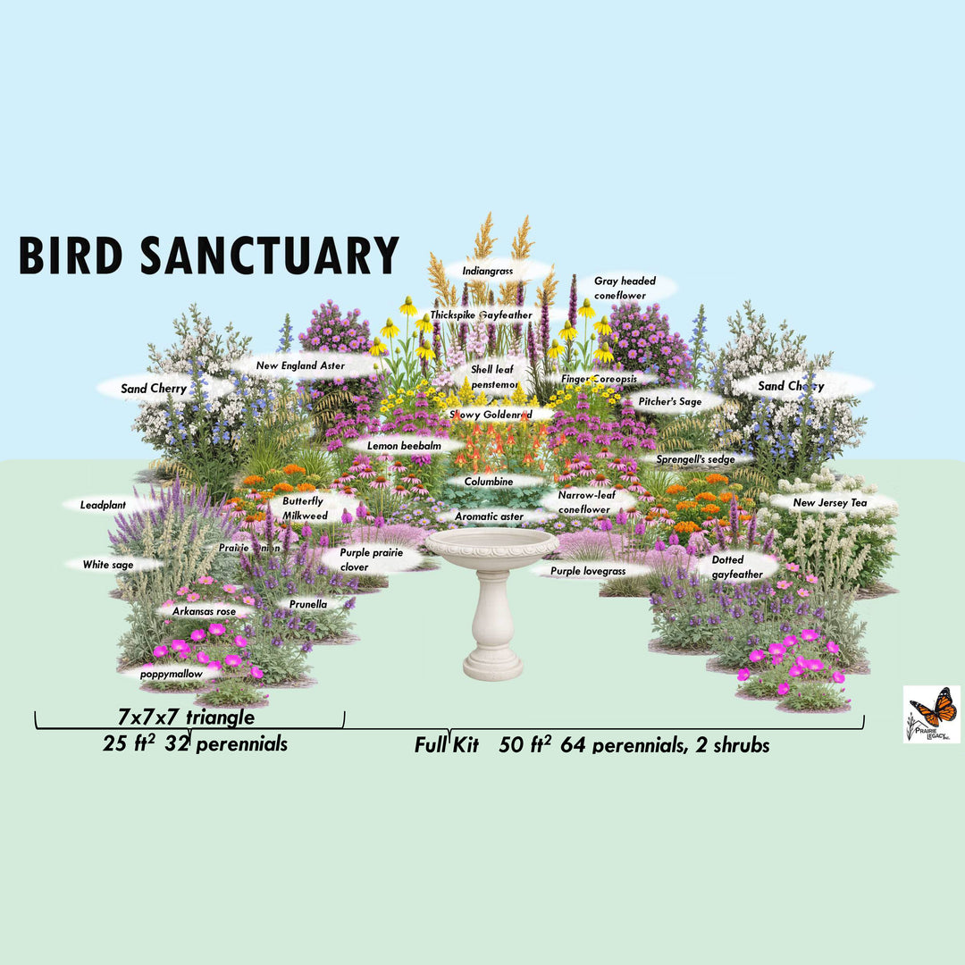 Diagram of a bird sanctuary with plants and features labeled on a light blue background.