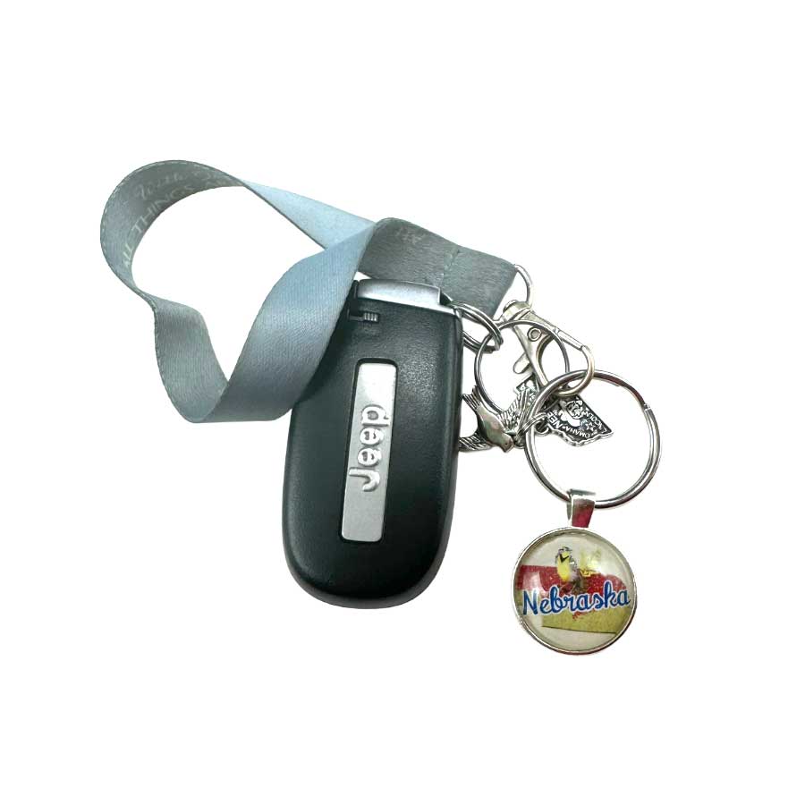 Key Chain With Nebraska State Bird Charms | Multiple Color Options | 1 1/4" Nickel Split Key Ring | Create