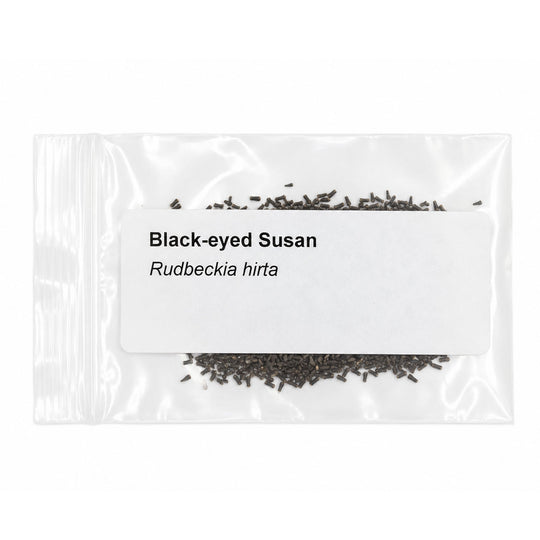 Clear packet of Black-eyed Susan seeds with text on a white background