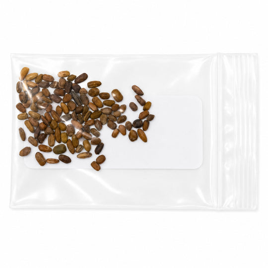 Clear plastic bag with small brown seeds on a white background