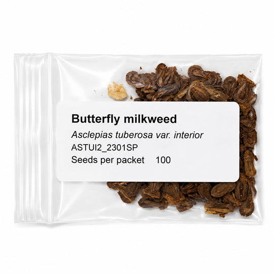 Butterfly milkweed seeds in a clear packet with a label on a white background