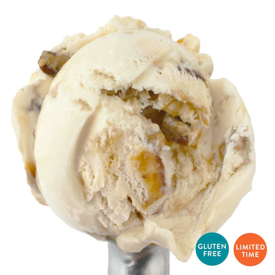 Butter Pecan Ice Cream | One Pint | Gluten Free | Traditional Butter Pecan Ice Cream With Chewy Praline Pieces | Mouthwatering Brown Sugar Coating | Smooth & Creamy  | 4 Pack | Shipping Included