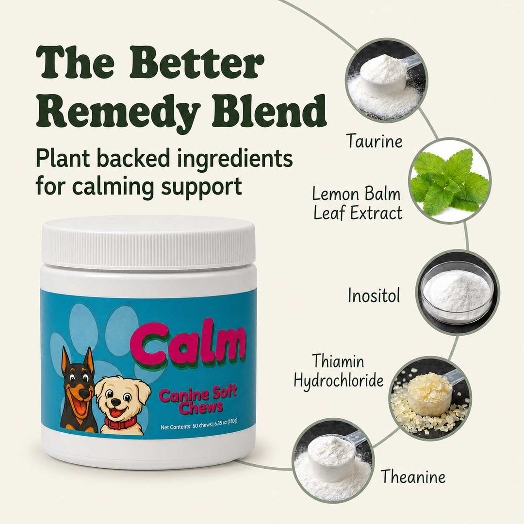 A white plastic jar of Canine Soft Chews with a blue label reading 'Calm' and showing a dog and a puppy illustration. The image includes marketing text, 'The Better Remedy Blend,' and callout circles identifying ingredients: Taurine, Lemon Balm Leaf Extract, Inositol, Thiamin Hydrochloride, and Theanine.