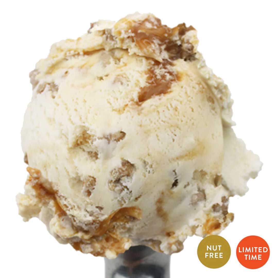 Caramel Apple Crisp Ice Cream | One Pint | Nut-Free | Spiced Apple Blend With Caramel Swirls | Topped With Crunchy Graham Cracker Crunch | Featured on Good Morning America, Shark Tank, And More! | Nebraska Ice Cream | Pack of 4 | Shipping Included