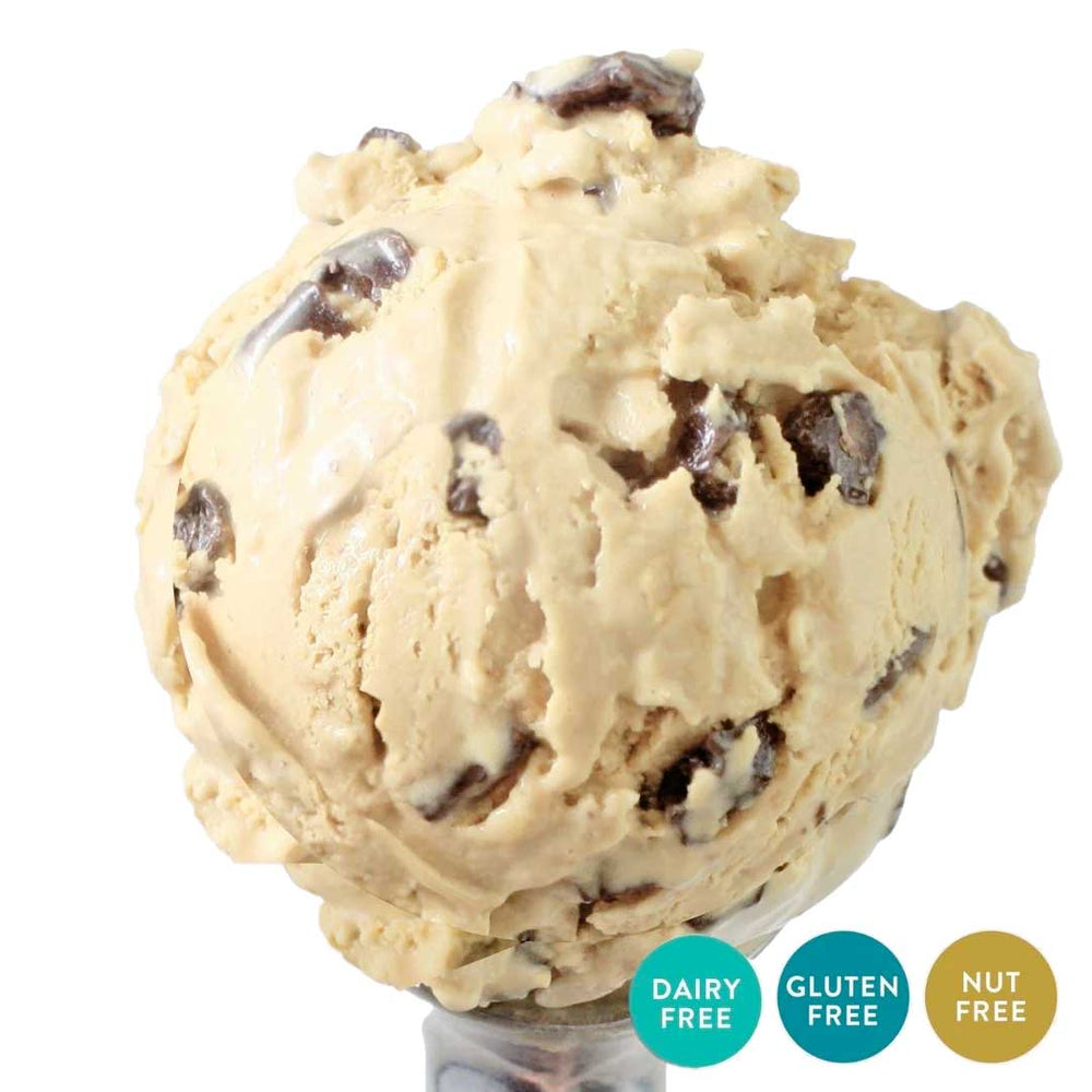 Caramel Chocolate Chunk Oat Milk Ice Cream | Pack of 4 | One Pint | Shipping Included | eCreamery