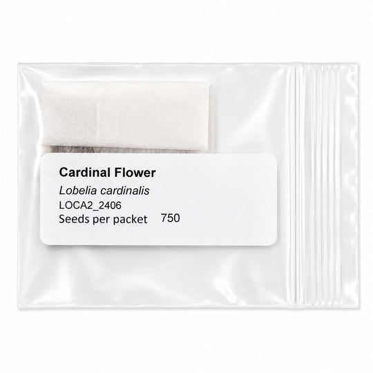 Cardinal Flower seed packet with label on a white background