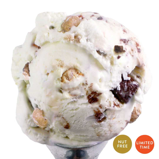 Chocolate Chip Cookie Dough Ice Cream