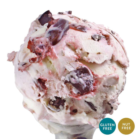 Cherry Chocolate Chunk Ice Cream | One Pint | Nut-Free | Gluten Free | Has Chocolate and Cherry Pieces | Pack of 4 | Shipping Included