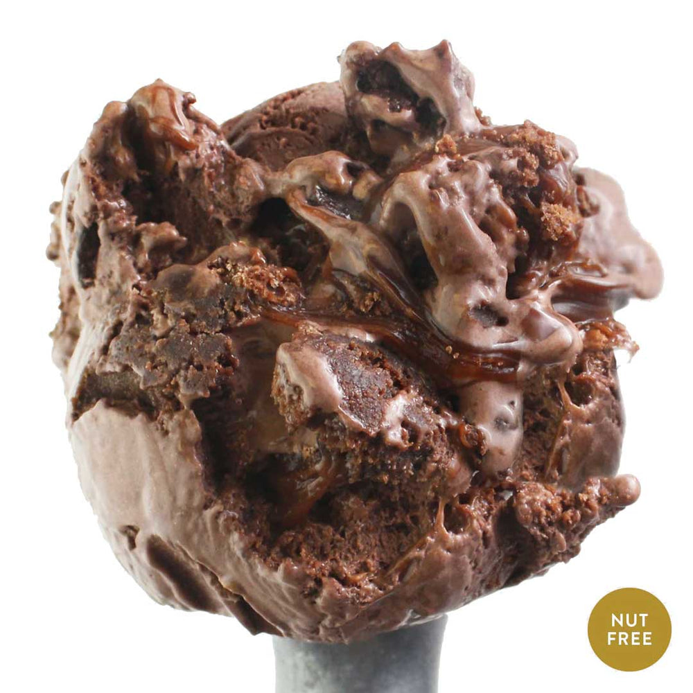 Chocolate Cake Ice Cream | One Pint | Nut-Free | Chocolate Brownie Chunks With Velvety Fudge Swirls | Pack of 4 | Shipping Included