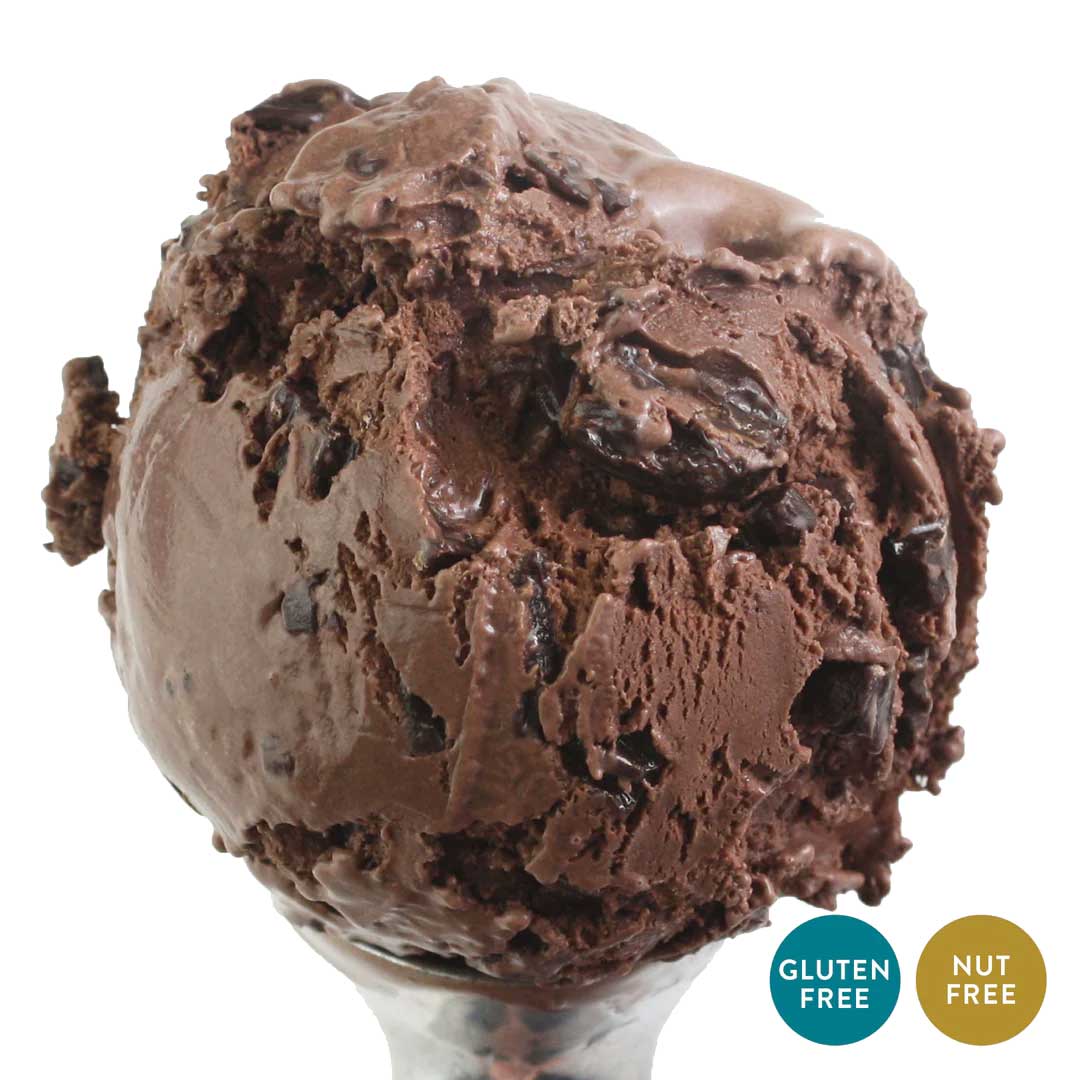 Chocolate Chunk Ice Cream | One Pint | Nut-Free | Gluten Free | Chocolate Ice Cream With  Milk Chocolate Chunks | Pack of 4 | Shipping Included