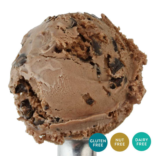 Chocolate Chunk Oat Milk Ice Cream | One Pint | Gluten, Dairy, Nut-Free | Chocolate Ice Cream With Chocolate Chunks | Pack of 4 | Shipping Included