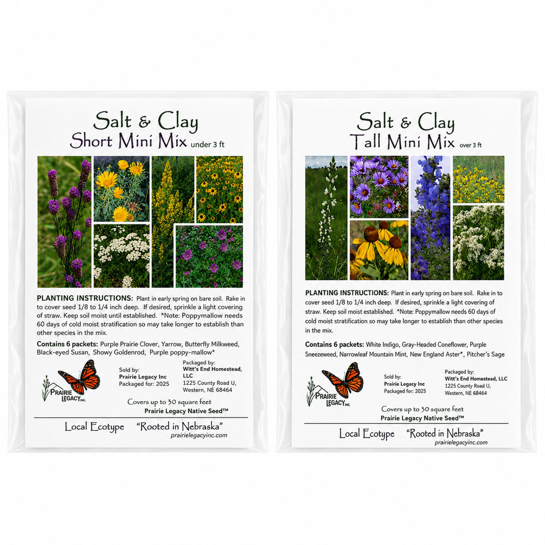 Two packets of Salt & Clay native seed mixes with images and text on a white background.