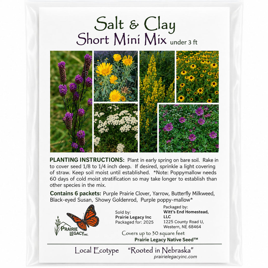 Salt & Clay Short Mini Mix seed packet with images of flowers and planting instructions.