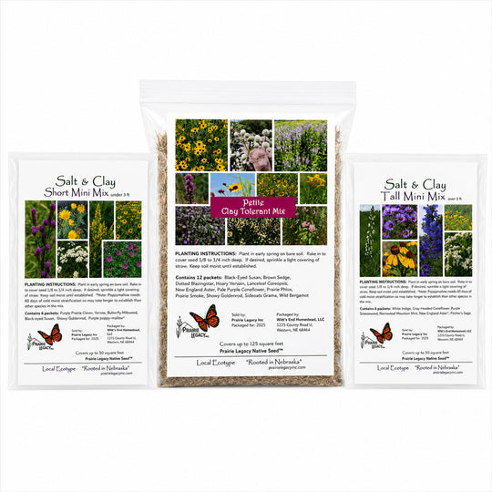 Three seed packets with images of plants and butterflies on a white background