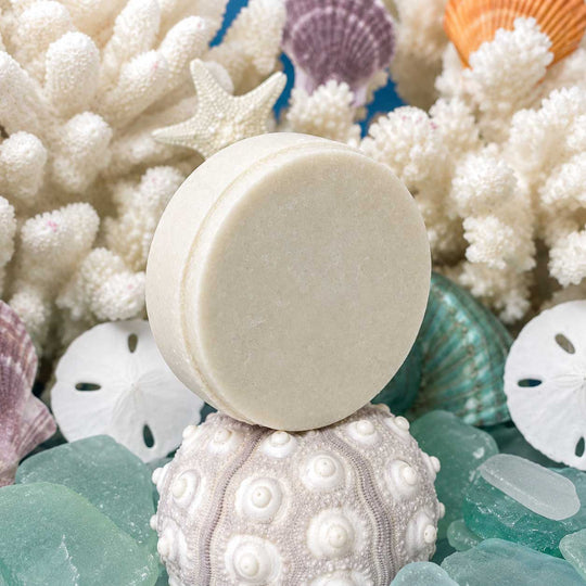 Round beige soap bar on a sea urchin with coral and shells in the background