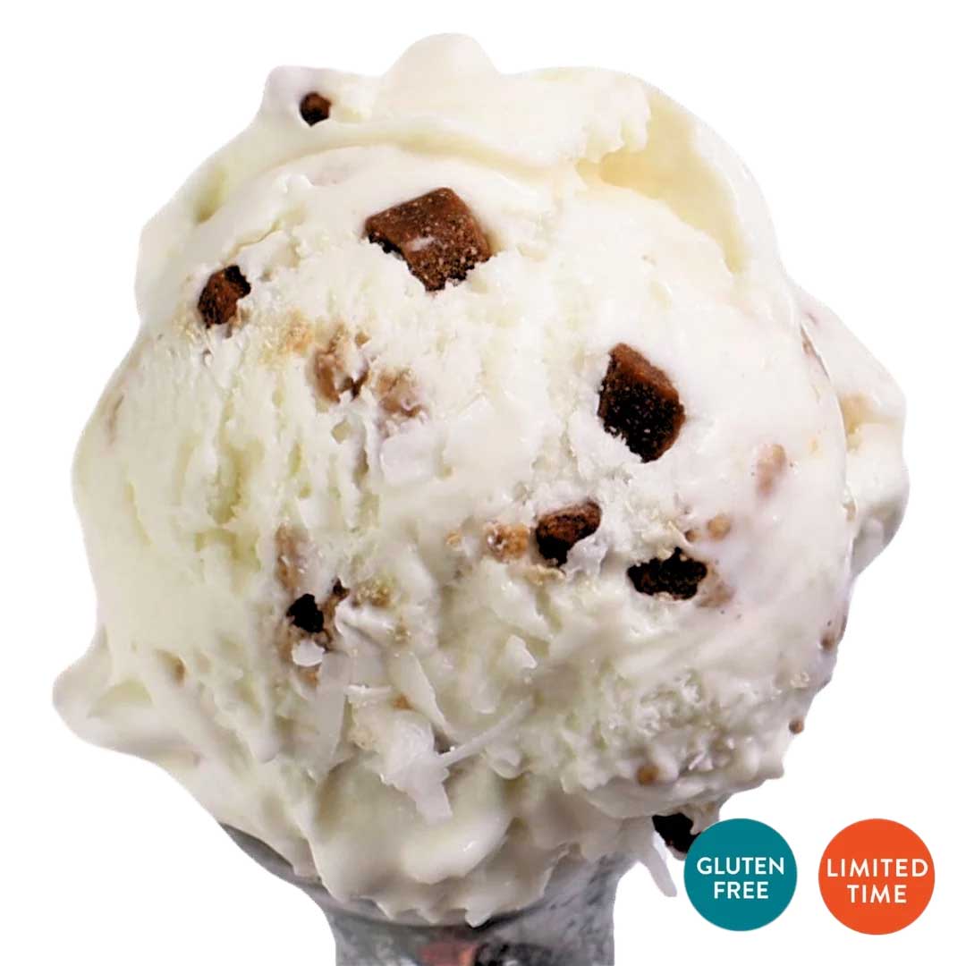 Coconut Chocolate Almond Ice Cream