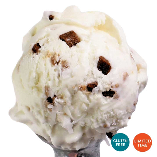 Coconut Chocolate Almond Ice Cream