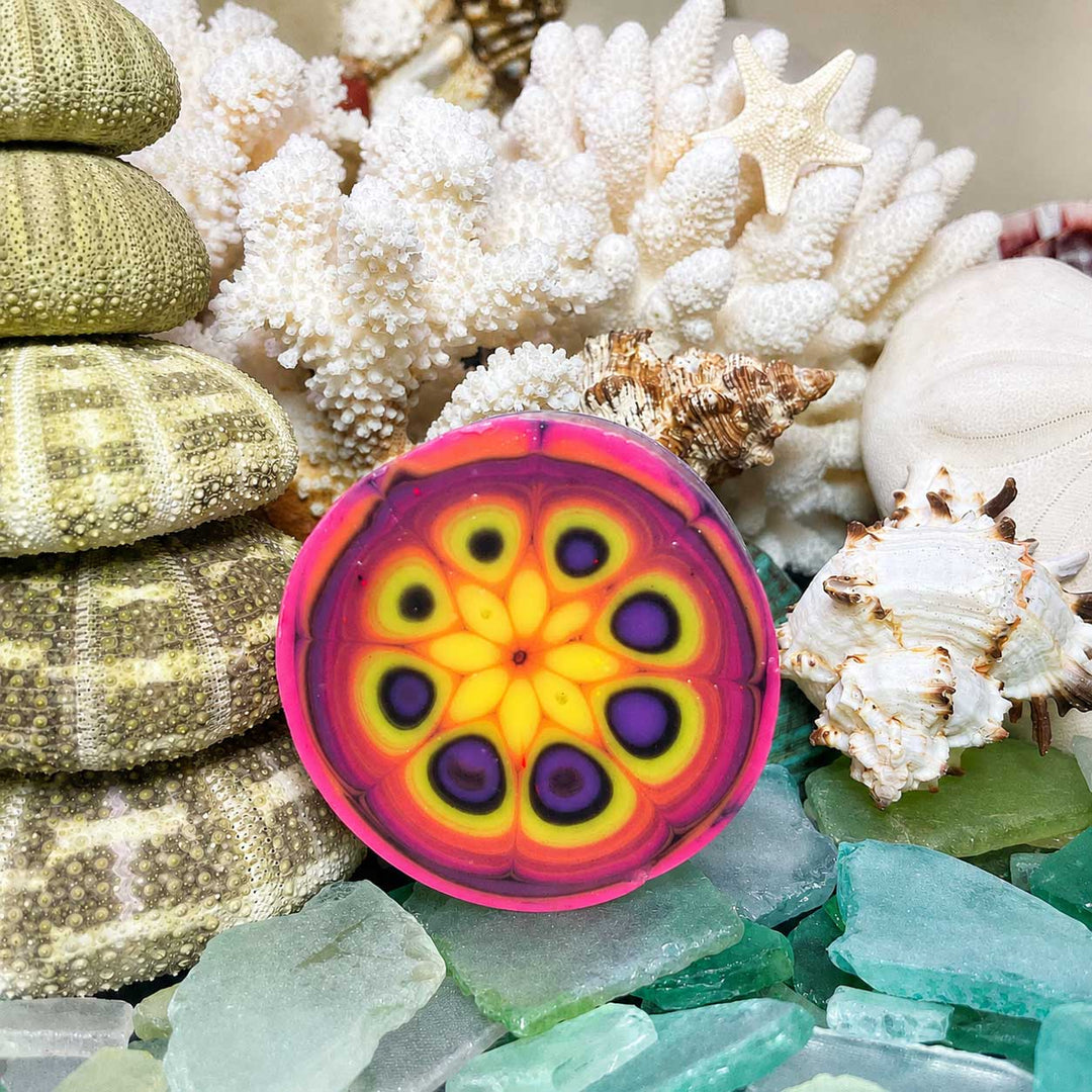 Colorful circular object with a floral pattern on a background of seashells and corals