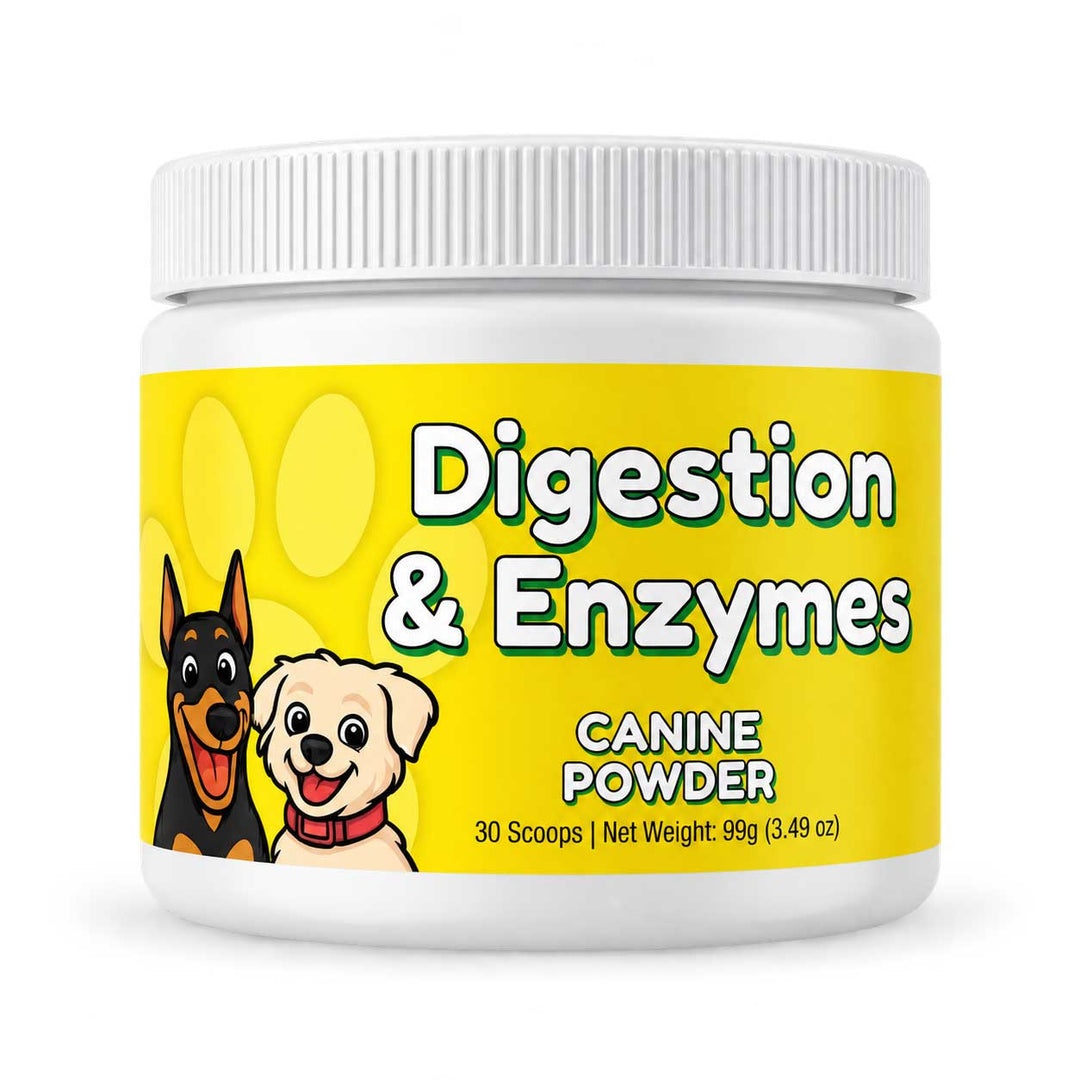 Digestion & Enzymes Canine Powder
