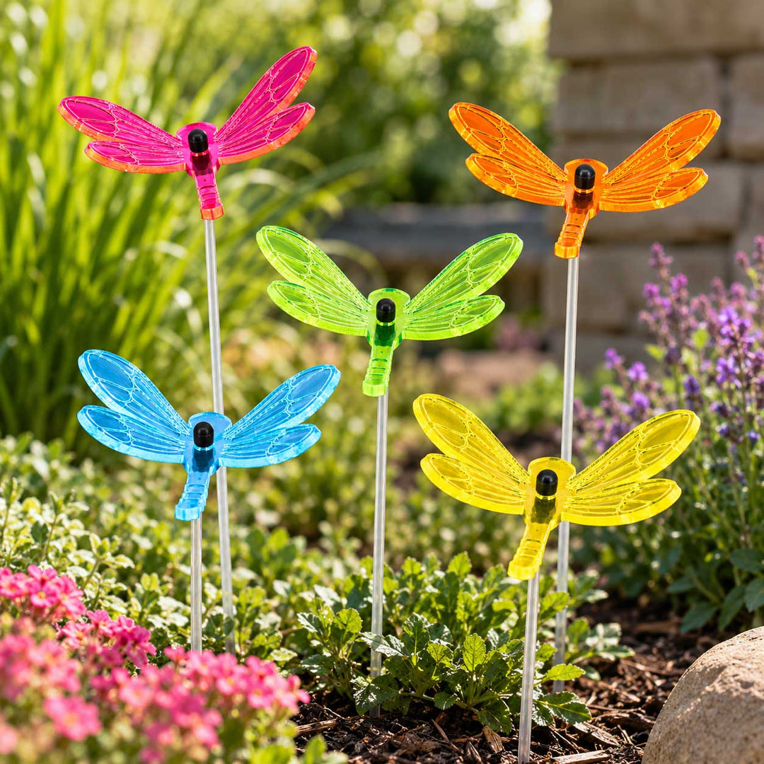 Five colorful dragonfly garden stakes with translucent wings in pink, orange, blue, green, and yellow, displayed in a garden bed.