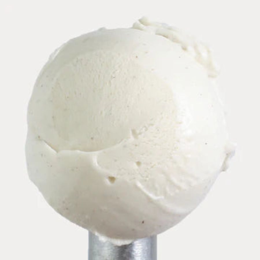 A scoop of Vanilla Bean Ice Cream on a white background