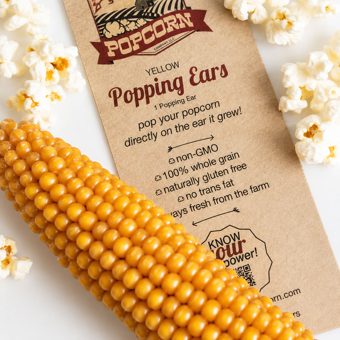 Corn on the cob with a 'Popcorn Company' label on a white background