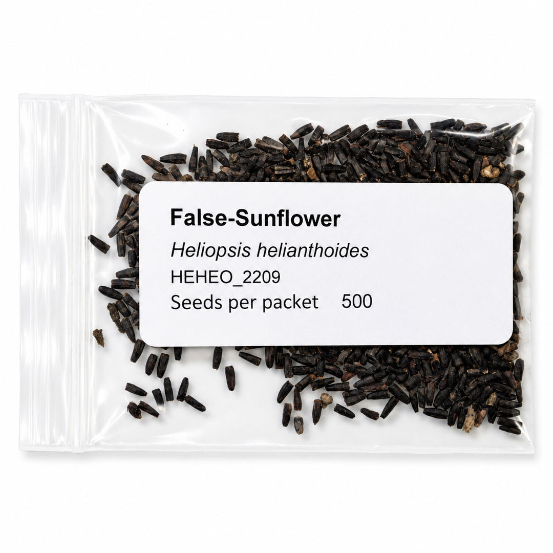 Seeds packet of False-Sunflower with a label on a white background