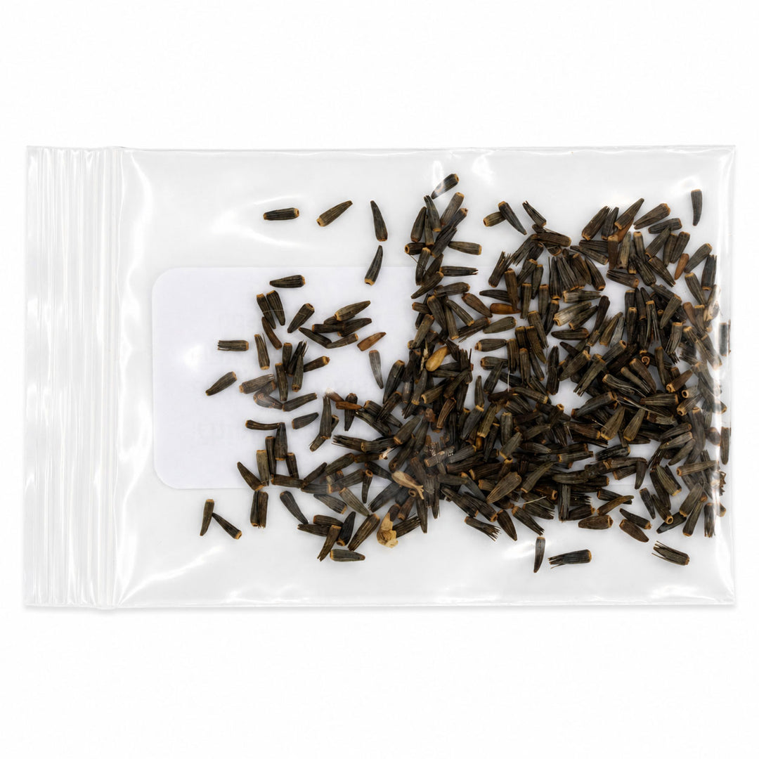 Clear plastic bag with black and brown seeds on a white background