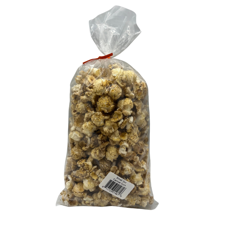 Caramel Gourmet Popcorn | 3 oz. bag | Non-GMO | All Natural | Sweet, Crunchy Treat | Punch of Caramel Flavor | Used with Rich and Decadent Caramel | Popped Popcorn | Fresh Batches | Made with Corn Oil | Nebraska Caramel Corn