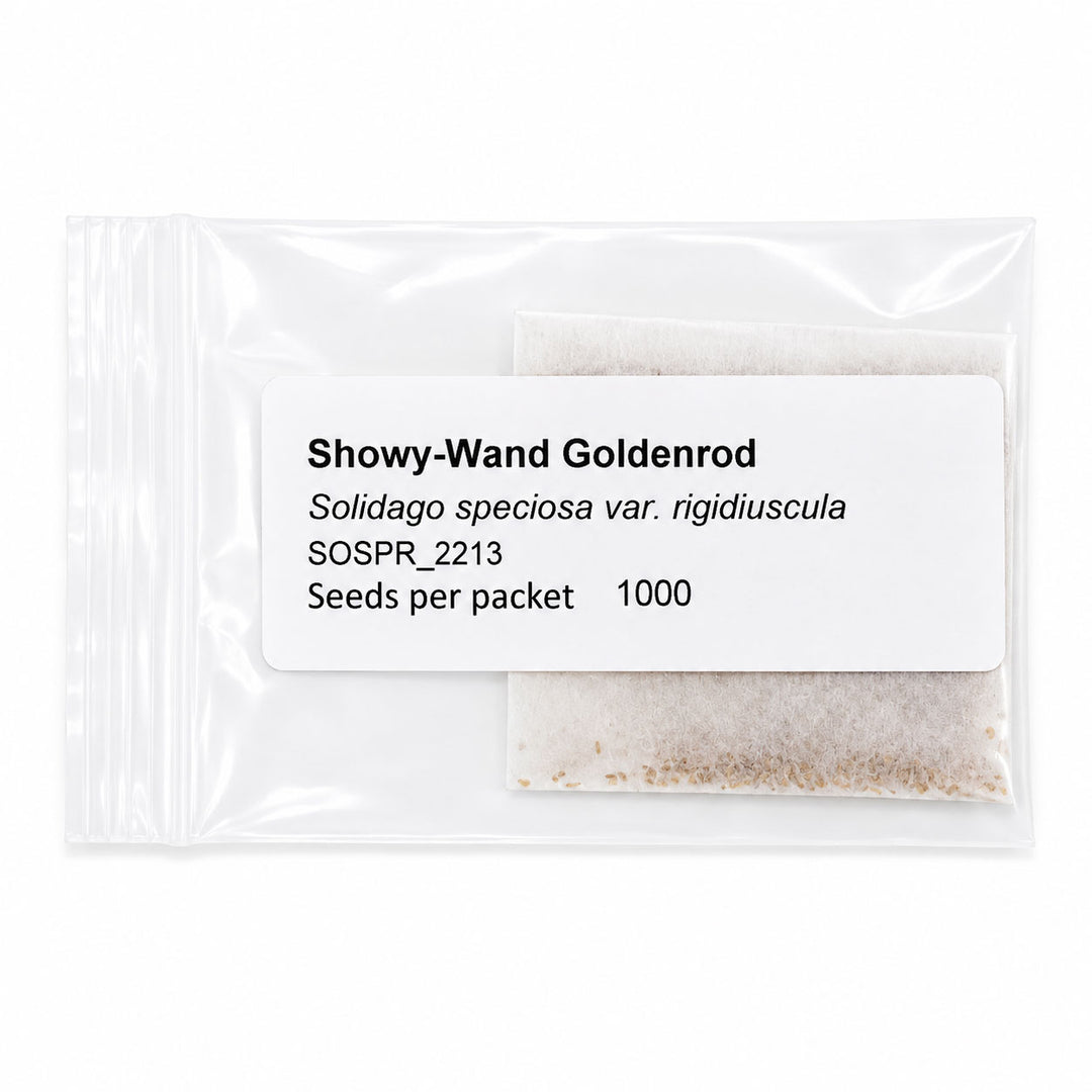 Seed packet labeled 'Showy-Wand Goldenrod' with seed content visible on a white background