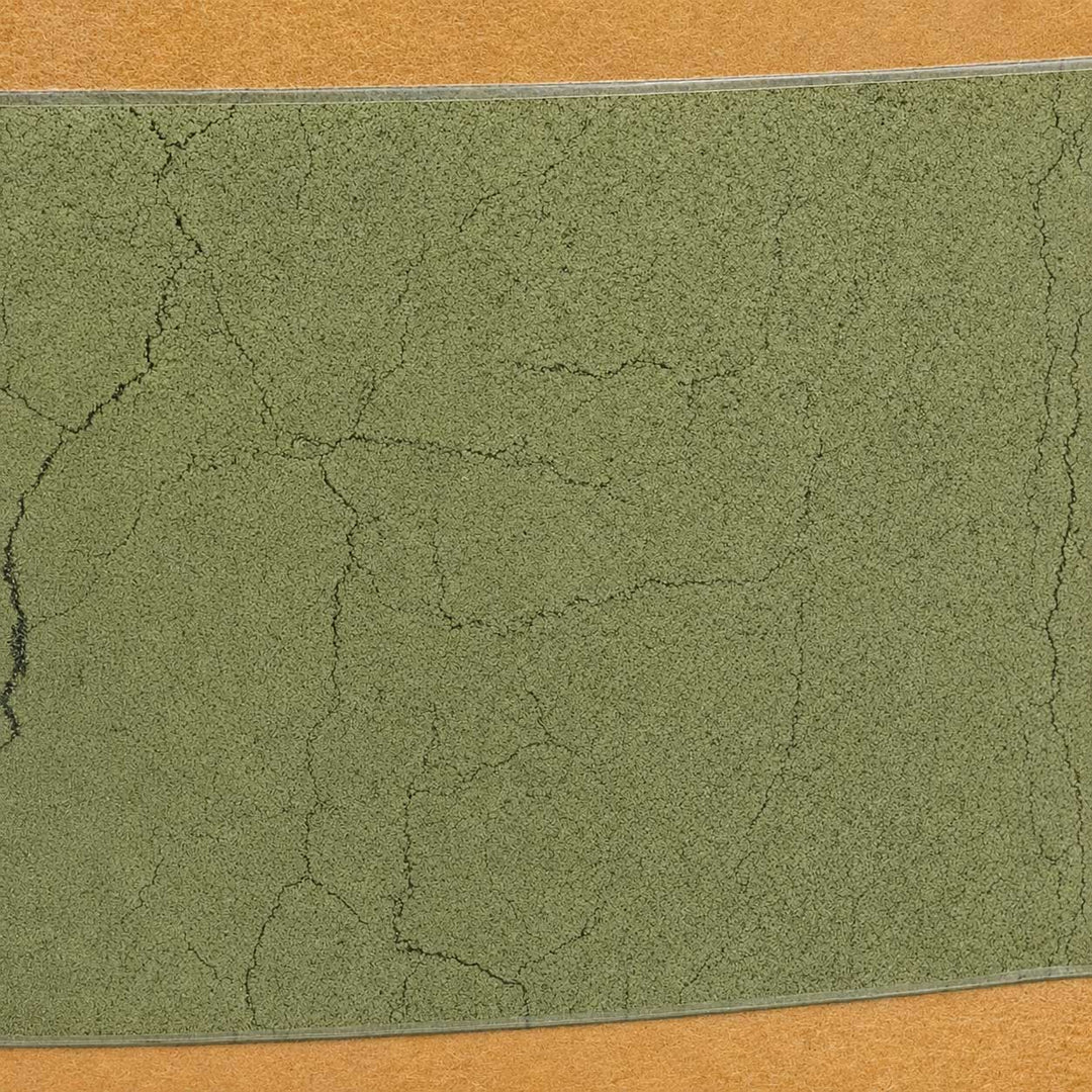 Close-up of a green textured surface with a brown border