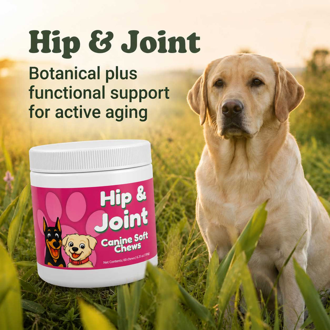 Hip & Joint Support Soft Chews for Dogs | Pack of 3 | 60 Chews - 6.35 oz | LivHerbals, Inc.