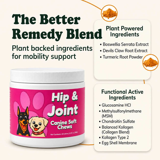 Hip & Joint Support Soft Chews for Dogs | Pack of 3 | 60 Chews - 6.35 oz | LivHerbals, Inc.