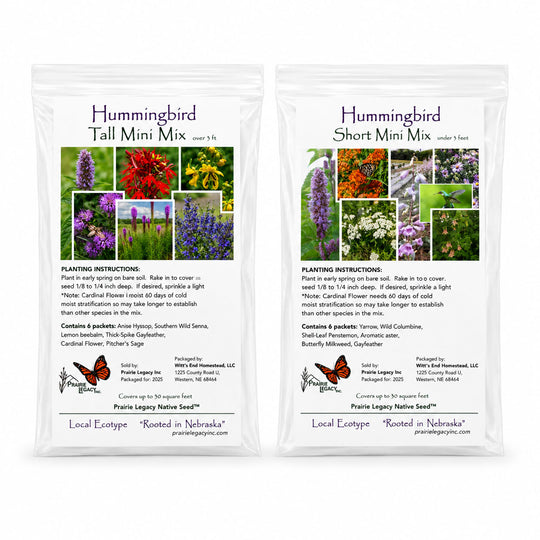 Two packages of Hummingbird Tall Mini Mix and Short Mini Mix seeds with images of flowers on a white background.