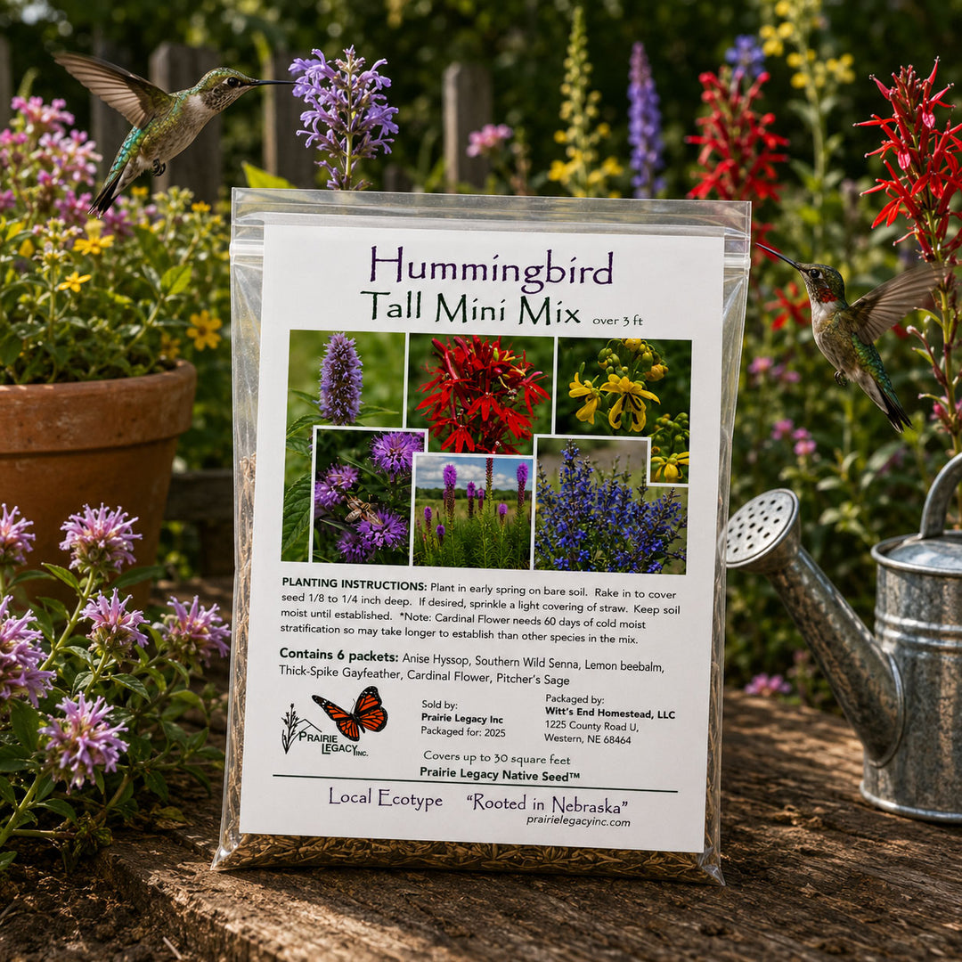 Hummingbird seed mix packet with hummingbirds and flowers in the background