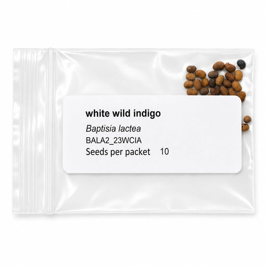 Seed packet labeled 'white wild indigo' with seeds inside on a white background
