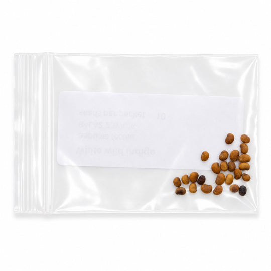 Clear plastic bag with small brown and black objects on a white background