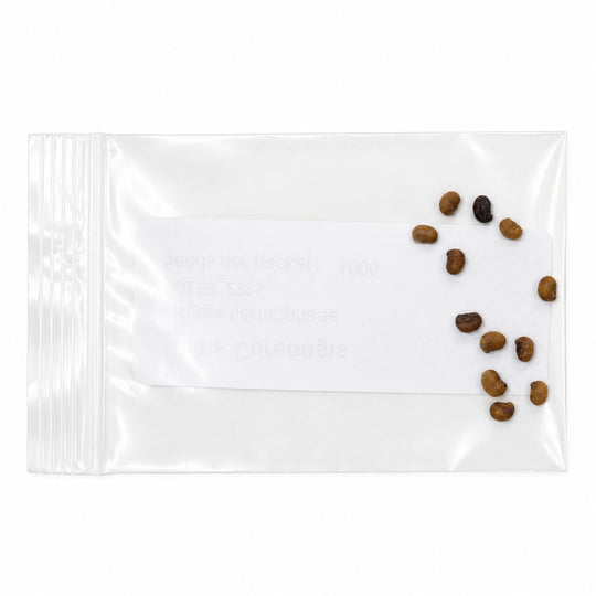 Clear plastic bag with small stones on a white background