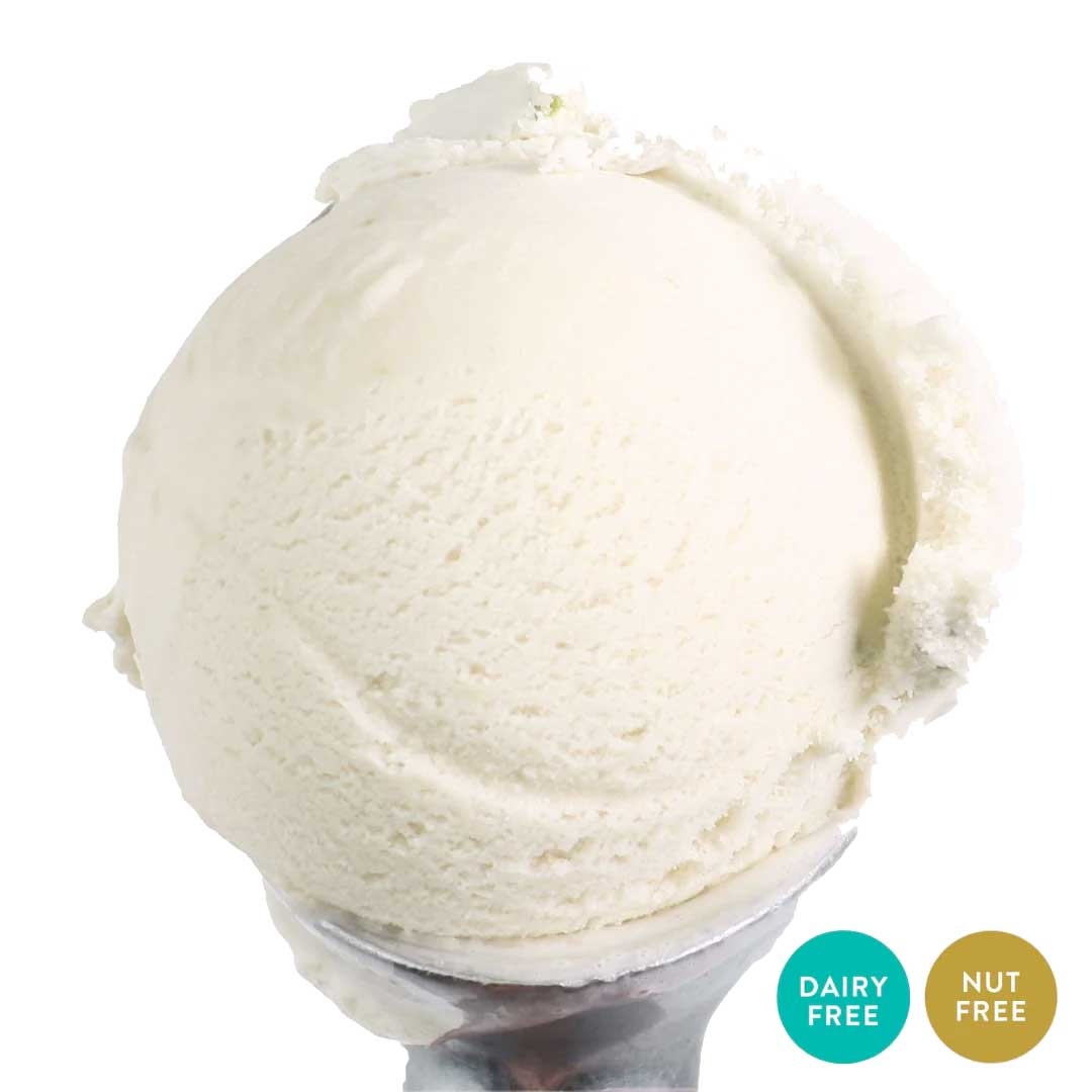 Lemon Sorbet | Pack of 4 | One Pint | Shipping Included | eCreamery