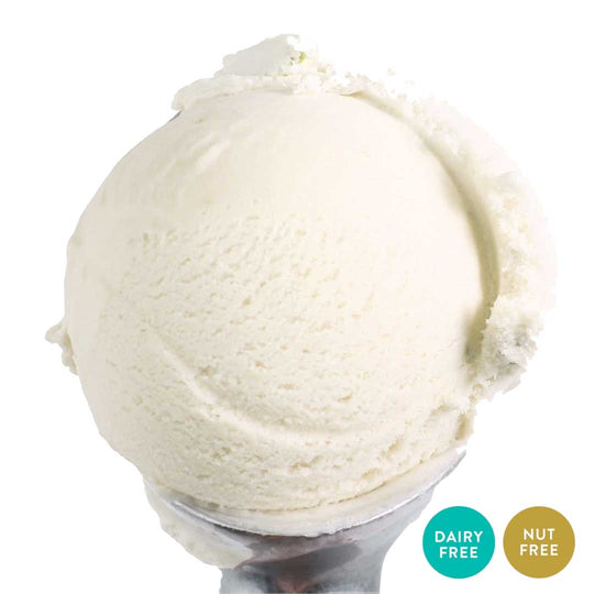 Lemon Sorbet | Pack of 4 | One Pint | Shipping Included | eCreamery