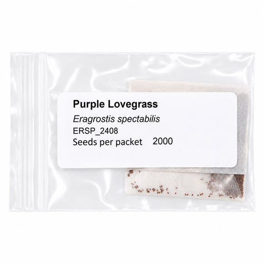 Package of Purple Lovegrass seeds with label on a white background